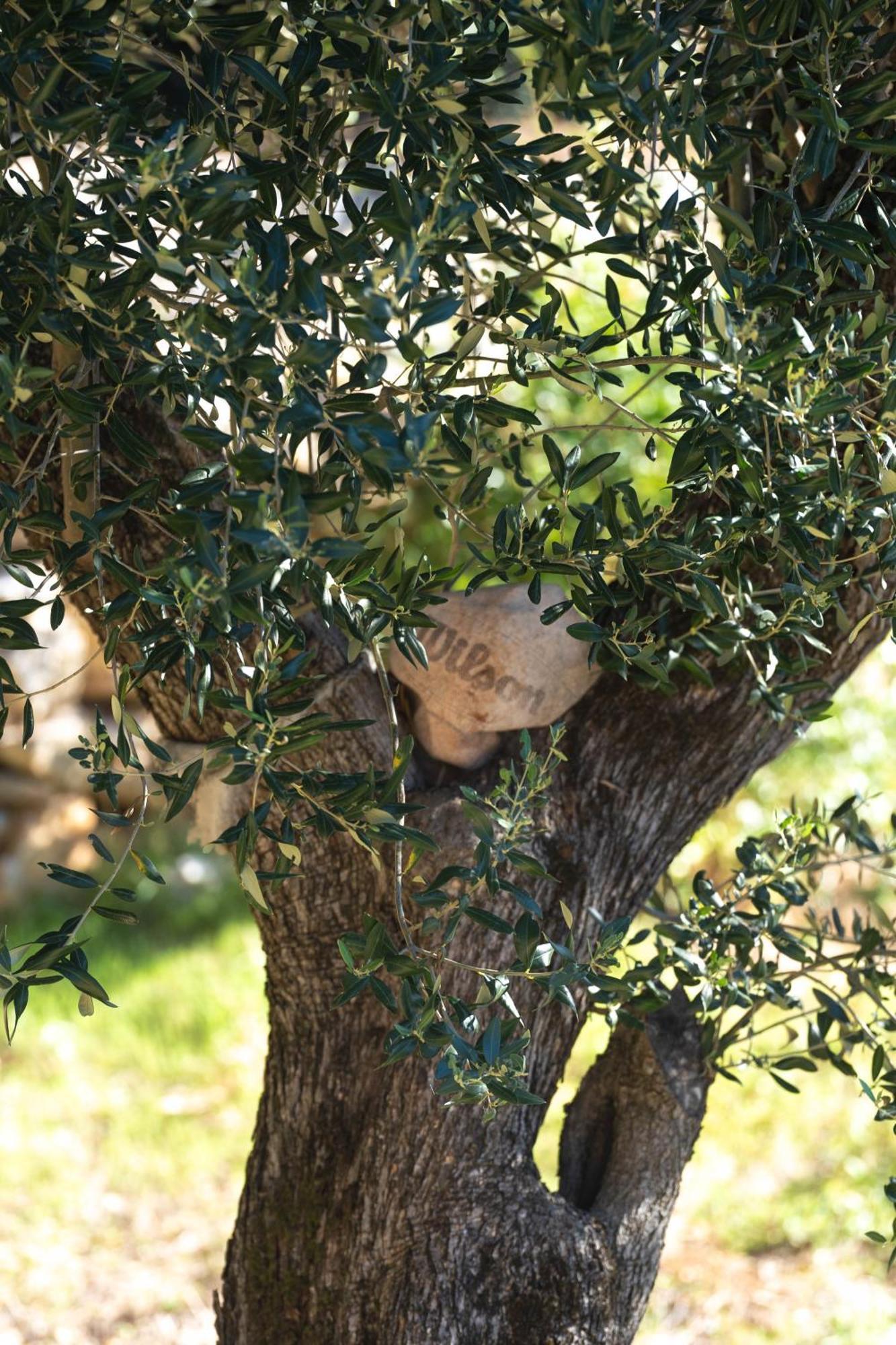 סביד Villa Mia Filomena מראה חיצוני תמונה